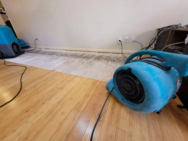 Professional Structural Drying technician working in Bradley, OK